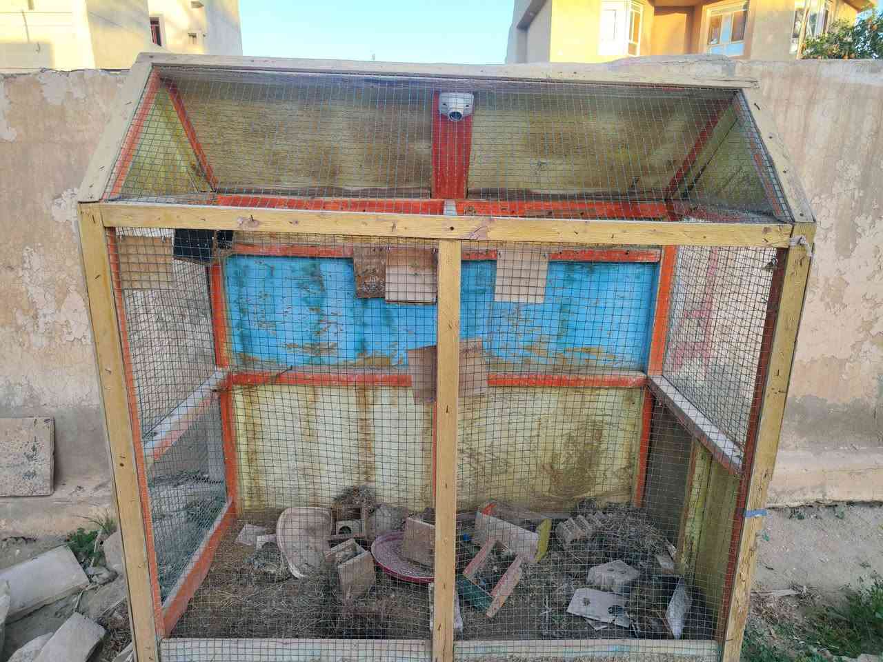 متاح قفاصة اثنين خشب ثقيل شغل درجه اولى القفص ينرادله 3 حته يشيلو شغل درجه اولى سعر الواحد 50 الف قفل القفاص اكبار طول القفص اكثر من متر او نص


**إذا كنت صاحب هذا الإعلان وتريد حذفه لأي سبب، رجاءا أرسل رسالة إلى الدعم الفني**