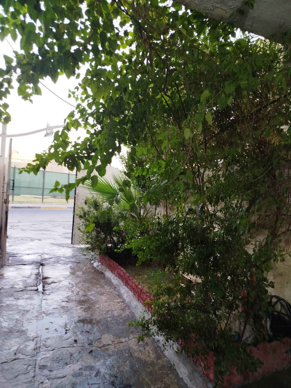 سلام عليكم ورحمة الله ..للبيع بيت مساحة 81..نزال 18 ...واجهة 4 ونص ..ثلاث طوابق ..مسلح ..سند مفروز..مقابلة شارع عريض ...يحتوي على استقبال ومطبخ بارد ومطبخ حار ...وغرفتين نوم بالطابق الثاني وغرفتين بالطابق الثالث ....
العنوان الشعب قرب جامع بدرية للاستفسار الرقم ***********
سلام عليكم ورحمة الله ..للبيع بيت مساحة 81..نزال 18 ...واجهة 4 ونص ..ثلاث طوابق ..مسلح ..سند مفروز..مقابلة شارع عريض ...يحتوي على استقبال ومطبخ بارد ومطبخ حار ...وغرفتين نوم بالطابق الثاني وغرفتين بالطابق الثالث ....
