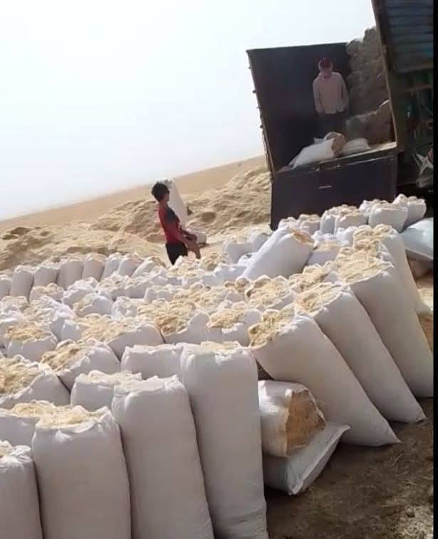 تبن حنطة نضيف شرط مال كوم دراسة حجم الكونيا 55سعرالزوج ٣٥٠٠ اتصل على رقم ***********
