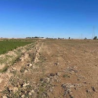 الرمادي اليرموك • ٢٫٥ دونم • طابو زراعي