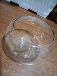 نباتات زينة • توصيل • كركوك