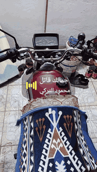 السلام عليكم 
اخوان دراجه للبيع سيڤان 2021 الدراجه كلها شغاله كهربائياته لايت امامي و بگ لايت سكن وبريك شغال الدراجه اوراق اصولي  يعني الدراجه كامله مكمله ماناقصه شي والله تاخذه ماتذب عليه ربع  تشغيل عن بعد  بصمتين بيه دبل اشاره  ويمنه يسره لايت عالي ناصي نشره باتري جديد يعني الدراجه ضالمته الصور الله شاهد 
بس للامانه الدراجه محركه مفتوح بس تجفيت بستم ورنگات فقط وباقي المحرك بحالت الوكاله مامبدل بي اي شي سعره 575 وبيه مجال 
العنوان حله مناكيش قرب مركز سيف سعد بداية الطهمازيه متواجد فيس  تلي ماسنجر واتساب 
الرقم *********** 🌹🙂😍
