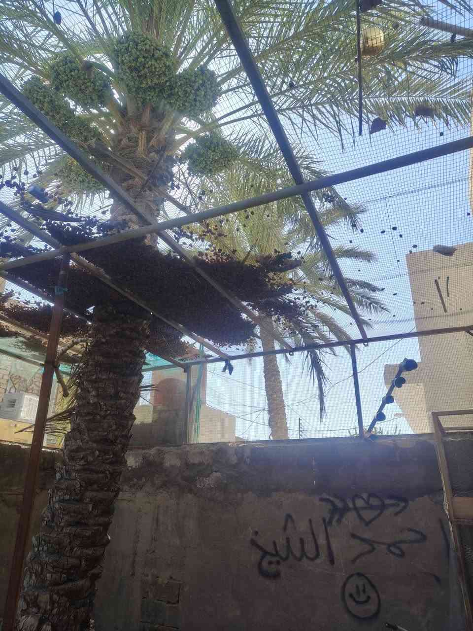 سلام عليكم محميه طيور تفصيخ براغي للبيع مكاني كربلاء الحر السعر خاص ***********
