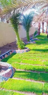 حسن لديكور 07832360478 عمل ديكورات درجه اولى نقشات شلال نافوره وبأسعار...