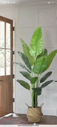 باقي قطعتين • حجم كبير • توصيل