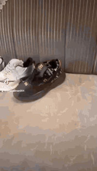 سلام عليكم احذيه للبيع ماركة ماستر كوالتي جوده×راحه=ستايل متوفر كل القياسات والألوان
وتوجد خدمه توصيل 
بابل3الاف 
بغداد 4الاف 
بقيه على محافظات 5الاف 
الحجز فقط واتساب ***********
