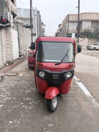 باجاج 2023 • أوراق • البصرة التنومة