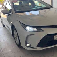 كورلا خليجي • ٢٠٢٣ • رقم اربيل