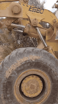 كاوسكي حجم 80 موديل 82 كير تركم محرك شركه بريك اربع وياله تخم تاير حجم 23 رقم بصره سنويه لغايه 2024 عضم عاج تحويل مباشر شفل جاهز للعمل العنوان بغدد ***********.     ***********
