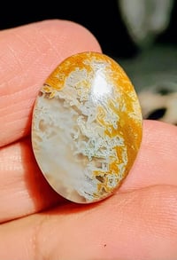 عقيق يمني • طحلبي • نوادر