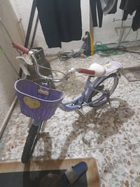 بايسكل باله سعر ٣٥