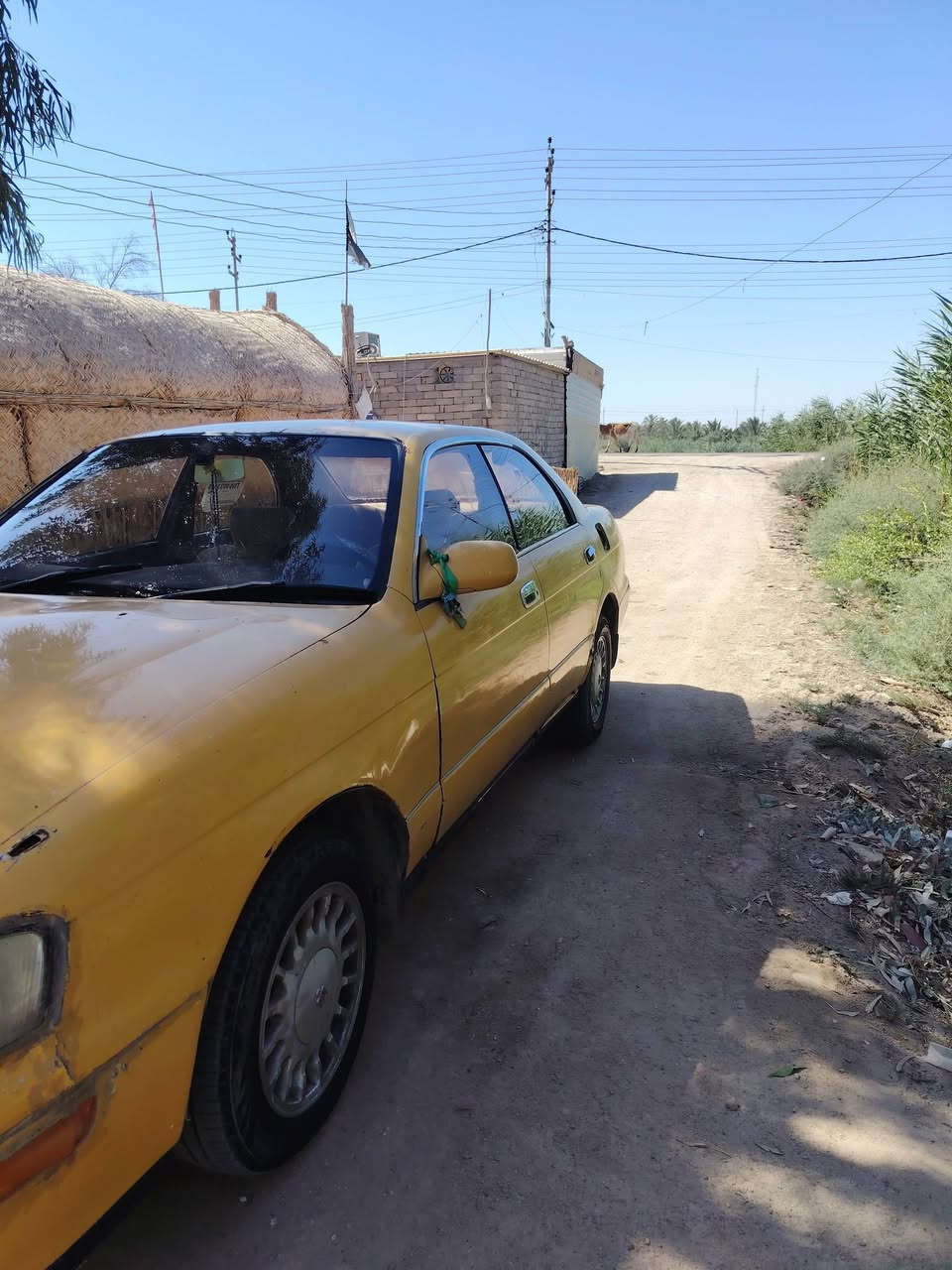 بطه موديل 2000جاهزه مكينه وكير جدد حداديه جديده تايرات جدد كهربايات شغاله مصفره هيه وغرامات مكفوله من العيب الشرعي تريد وكاله تريد تحويل السعر 26وبيه مجال بصيط العنوان ناصريه سوق الشيوخ
***********
