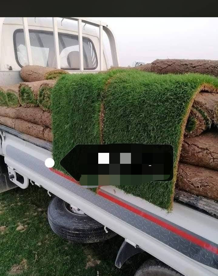ثيل طبيعي هندي ولاين وزميج وانوع التراب والتوصيل مجانا التواصل مع ***********واتساب
