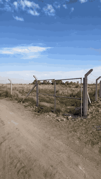 وبركاته  بعد التوكل على الله 1000م طابو زراعي عقد 25 موقع ممتاز  / متو...