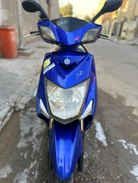 سكنس • ياباني • مكفولة