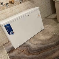 عارضات كبيرة • مجمدة كبيرة • عدد ٢