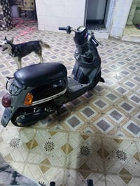 دراجة بوليس • دراجة • للبيع • دراجة ناعمة • شطره
