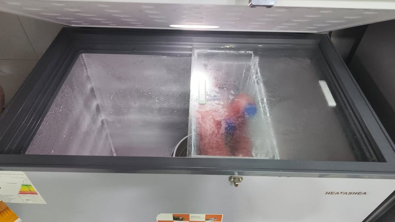 مجمده 10قدم فول ذلج شرط 
الثلج وضمان اطيك بيه مستخدمه هيج 35يوم 
اليرده يدلل حي نداء


**إذا كنت صاحب هذا الإعلان وتريد حذفه لأي سبب، رجاءا أرسل رسالة إلى الدعم الفني**