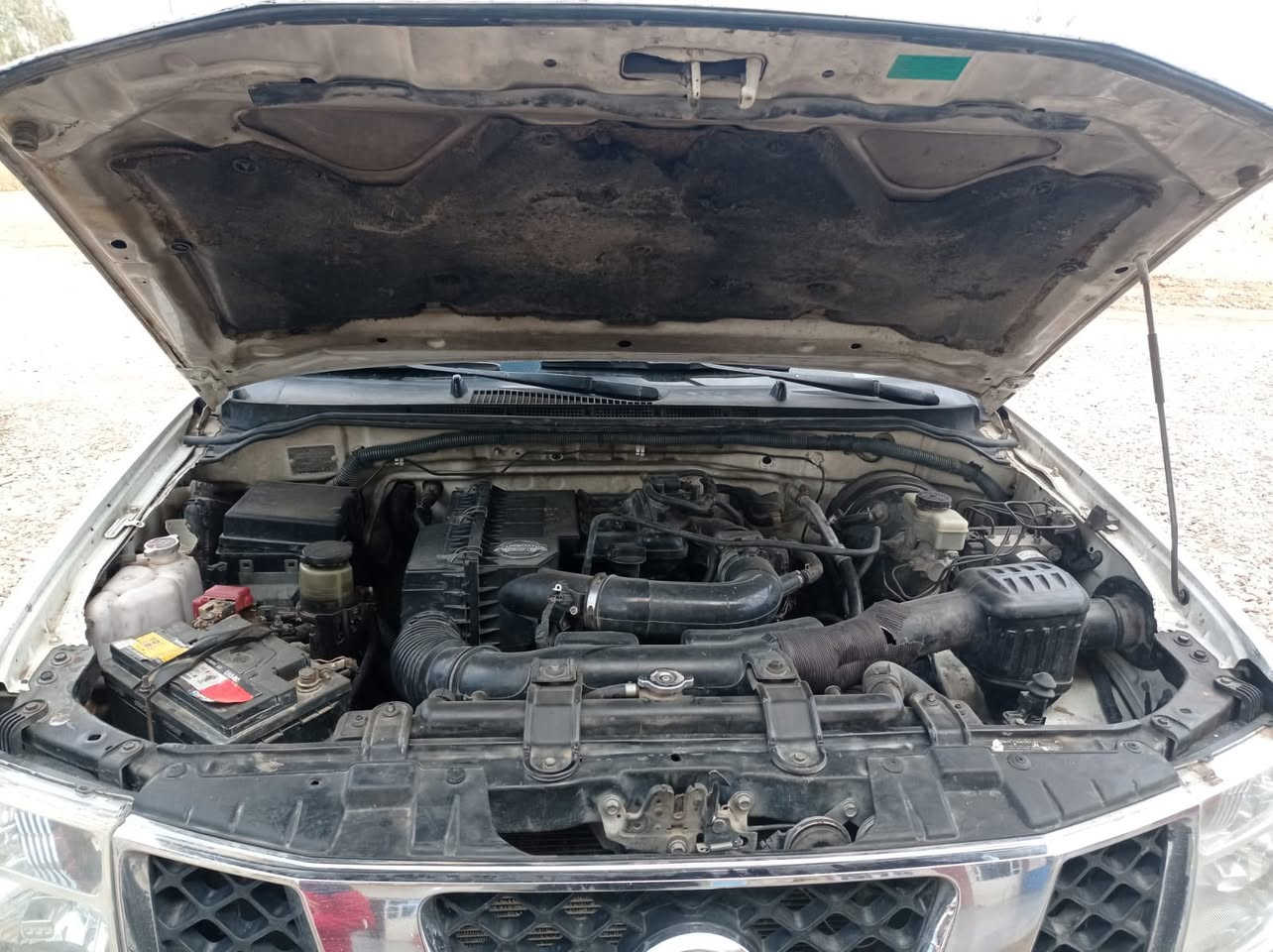 سلام عليكم نيفاره للبيع او مراوس بقل منها سعرموديل 13 سونار مرفق بصور محرك مجفت على ايدي بعده بالضمان كير اوتماتيك تخم تاير صدر خير من الله يرادلها بس شمعات تبريد دتفئ شغاله رقم اربيل سنويه 32 هزه جديده السعر 125 وبيها مجال (***********) مكان سياره ديالى كنعان
