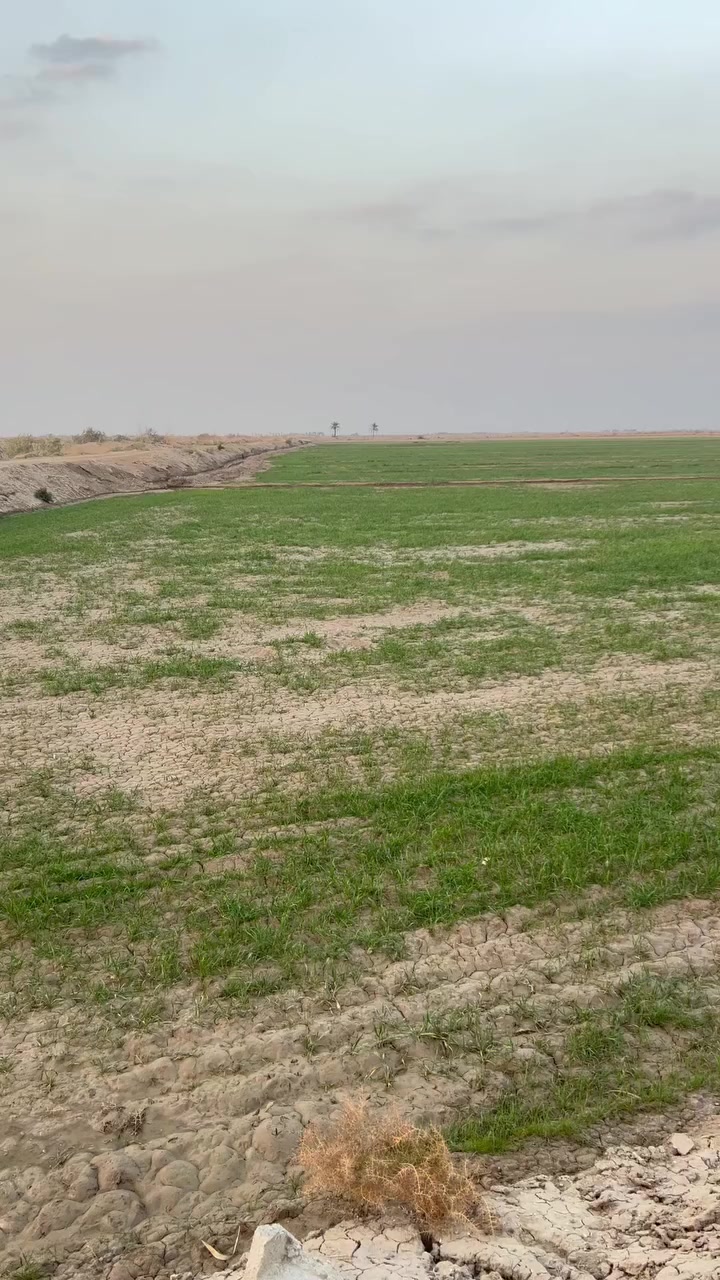 السلام عليكم ارض زراعيه للبيع سند 24 المساحة 150 دونم تبعد عن الكهرباء والشارع 100 متر وعن الشارع الدولي السريع كيلوين ونص للتواصل الاتصال على الرقم *********** غير متوفر على الفيس
