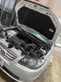 النترا • ٢٠١٠ • رانية