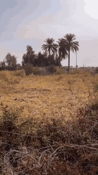 ‏السلام عليكم ارض للبيع خمسة دوانم طابو زراعي سند مستقل متوفر تبليط وماء وكهرباء بغداد جسر ديالى منطقة التويثه السعر 130 تعامل ويه صاحب السند اتصال علا الرقم ***********
