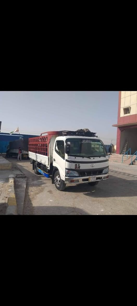 تيوته راس الثور للبيع رقم التفاصيل تصل وتعرف ***********
