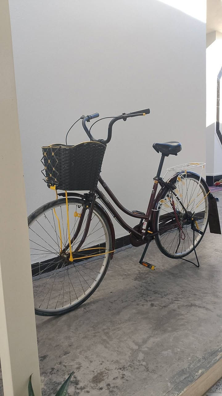 السلام عليكم(باسكل للبيع حجم (27)نضيف ومكفول من تبديل قطع
بريكات امامي +خلفي +سله
قفل جاملغ
باسكل نضيف ومرتب
السعر: راسلني خاص وتدلل 
رقمي: ***********
مكاني الرمادي الخالديه 🌹)
