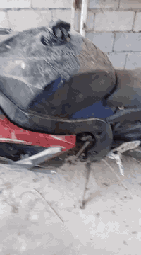 للبيع جكسر 2007 750cc كوم حديد طافيه كوم حديد طافيه الدراجه متروكه ولاتسألني شبيه شراي يخابر رحمه لوالديكم السعر 10 أوراق العنوان بغداد البياع شراي يخابر تجي تحمل ***********
