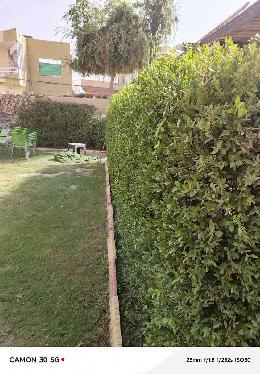 السلام عليكم اشتقل جميع الحدائق والبساتين  وتنظيف الحدائق من الدغل وتقليم الأشجار وزرع الشتل وقص الحدائق بل مكينه عل نمره وحدة وقص الأشجار الكبار  كادر متميز وسريع إتصل رقم الهاتف***********
