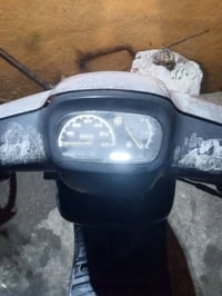 بطة • ما مفتوحه • بلادية