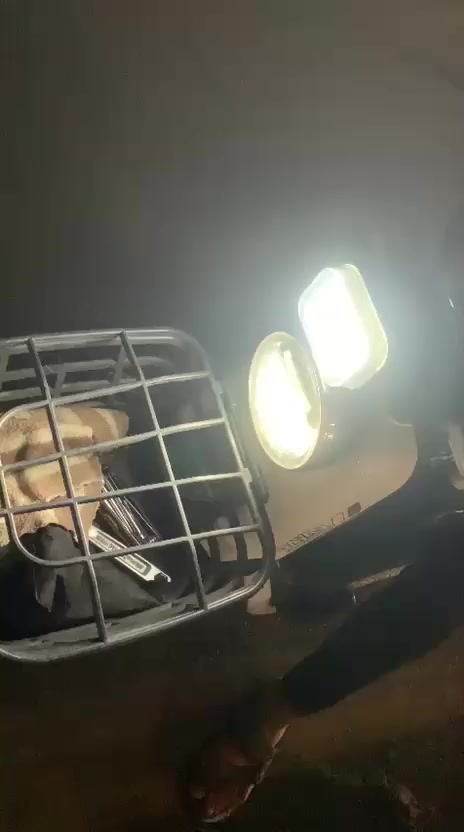 سلام عليكم دراجه ريان حجم ١٤ لون ابيض نظافه ٨٠ ٪؜ اربع بطاريات والدراجه موديل ٢٤ فقط بيه عطل اشاير واكفه العنوان دوره ابو دشير للأستفسار فقط ماسنجر
سعر 300بيه مجال قليل


**إذا كنت صاحب هذا الإعلان وتريد حذفه لأي سبب، رجاءا أرسل رسالة إلى الدعم الفني**