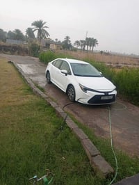 كورولا هايبرد • ٢٠٢٤ • رقم بغداد