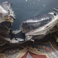 دراجة فحل • سجنز • كفالة