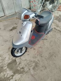 دراجة زعره • مع حاوية • خطين