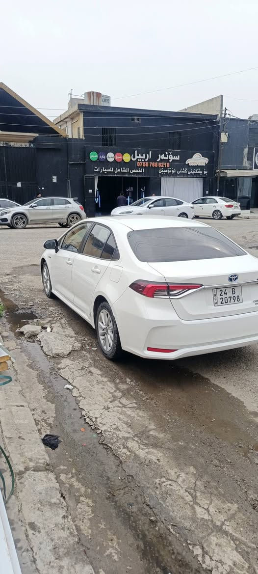 توێتە بیکاشو هایبرید شکل خلیجی 2024 تەنها دوو پەنجە ساردی هەیە 43 هەزار رۆیشتیە ناوسۆر هەموو شتی بەشەرت نرخ 152 شوێن هەولێر ***********
*********** أربيل, العراق
