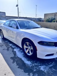 تشارجر SXT • ٢٠١٩ • رقم اربيل