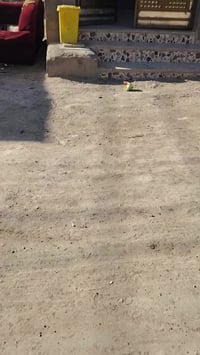 07733439611 الاتصال على هذا الرقم الاستفسار والاتصال على هذا الرقم الس...