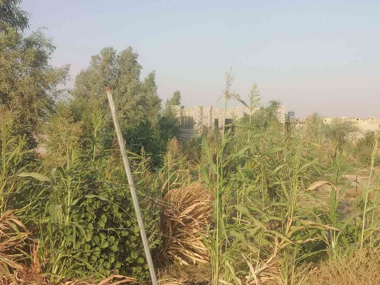 عندي دونم يم المجمع البناني  داخله بالتوزيع بس بستان وبي هيكل ومسوي بي وصل السعر 20وب
بيه نخل وتين وعب وشجار ضليه


**إذا كنت صاحب هذا الإعلان وتريد حذفه لأي سبب، رجاءا أرسل رسالة إلى الدعم الفني**