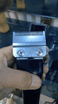 مكينه Wahl أمريكي اصلي أخذته من اركو كامله نمر وكارتونه وقاعده شحن ب٨٠...