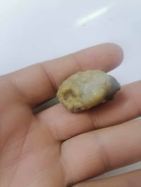 الزوعه المعطفه العجيبه سعره بس 25الي يريده يجي واتساب  07825678755