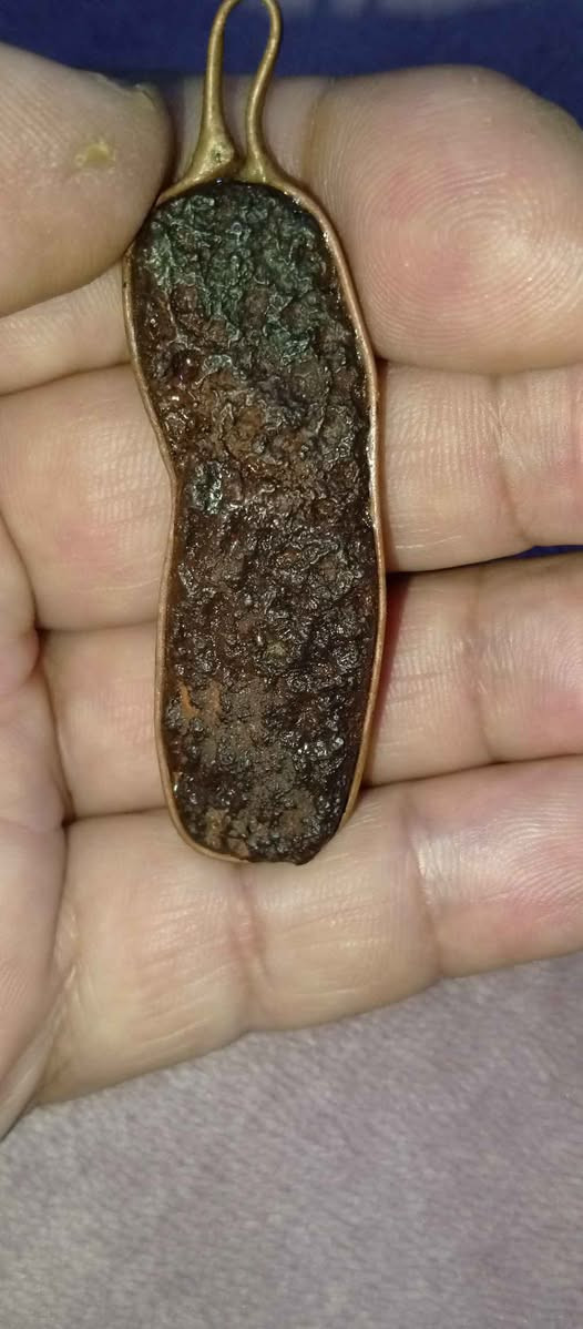 ‎مكاوي قديم رصد رباني‎ كربلاء, العراق


**إذا كنت صاحب هذا الإعلان وتريد حذفه لأي سبب، رجاءا أرسل رسالة إلى الدعم الفني**