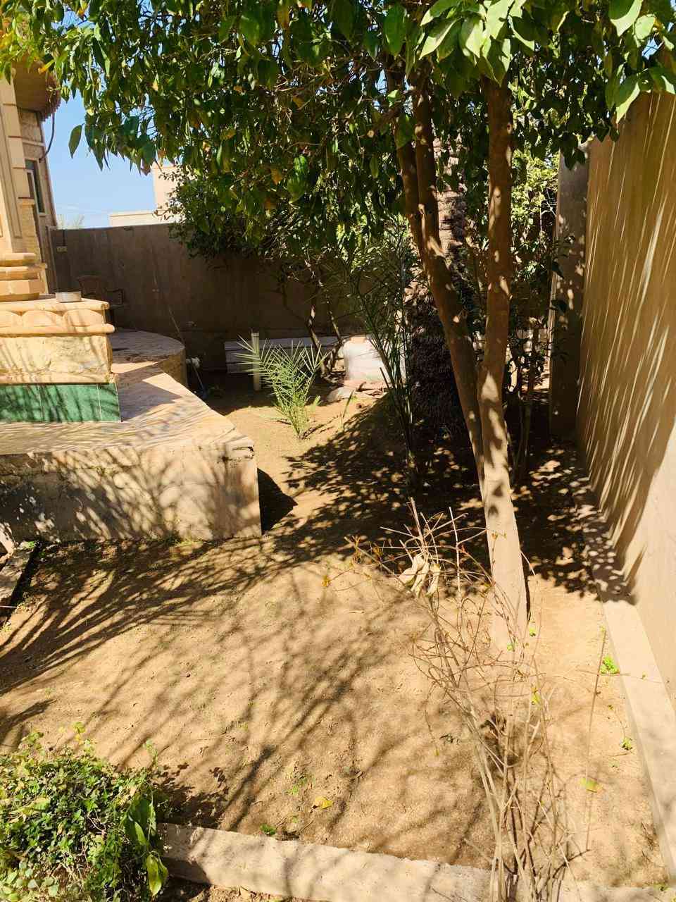 السلام عليكم اشتقل جميع الحدائق والبساتين  وتنظيف الحدائق من الدغل وتقليم الأشجار وزرع الشتل وقص الحدائق بل مكينه عل نمره وحدة وقص الأشجار الكبار  كادر متميز وسريع إتصل رقم الهاتف***********
