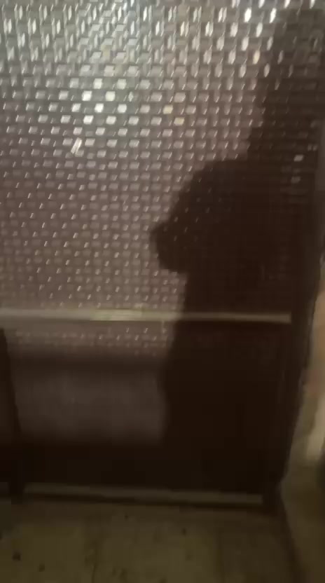 الطول ١١ متر و نص 
طول  ١٢٠ متر منها ب ارتفاع ١٨٠ 
و ١٢٠ متر منها ب ارتفاع مترين 
و الباقي ب ارتفاع مترين و٢٦

بغداد العبيدي 
***********
