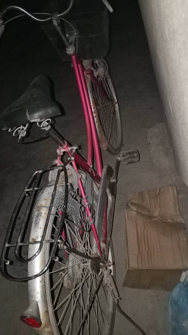 سلام عليكم
بايسكل للبيع سعر 45 الف وبيه مجال 

مكاني/بابل مركز/كريطعه/قريب جسر الكولا


**إذا كنت صاحب هذا الإعلان وتريد حذفه لأي سبب، رجاءا أرسل رسالة إلى الدعم الفني**