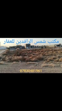 الرمادي • جزيرة البوذياب • ٢٨٠٠م