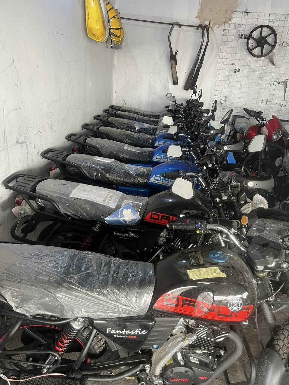 ياالله السلام عليكم
متوفر درجات دايوان. موديل 26 جبلي فقط 

توفر ب وراق السحب 

وتوفر رقم سلمانيه  جبلي. متوفر  خدمت توصيل 

 متوفر  جمله مفرد. تصل وتدلل *********** العنوان ديالى دلي عباس
