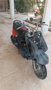 فراشه • شغاله • عوزه ملف