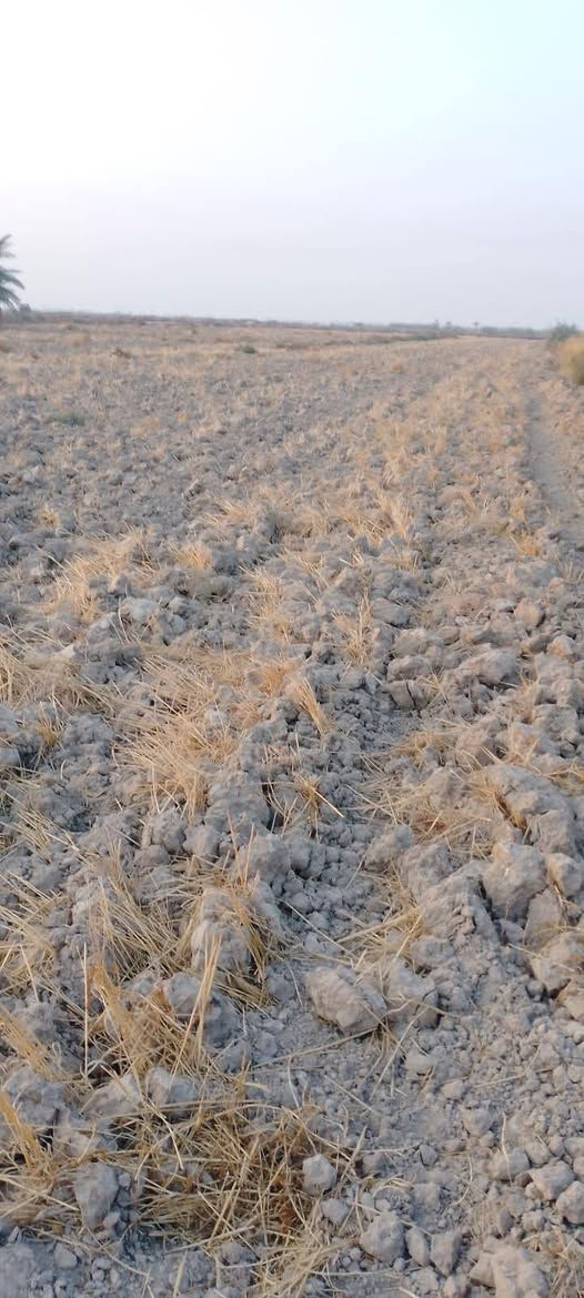 كاع 7 دونم ال عواد الرعدة
الاستفسار ***********
