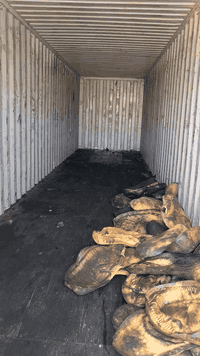 ياالله 🧿🧿🧿حاويات طول ١٢ متر الارتفاع ٢٩٠ سم بنظافة أكثر ٧٥ بالمية دخول حديث  قنبلة نهاية السنة 🧿🧿🧿 ب ٢٢ ورقة بس عنوان النجف الاشرف الاستفسار ع الاتصال *********** 💵أقوى العروض ع مستوى العراق
